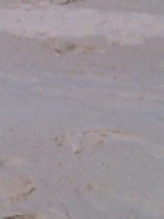 Beach Hotel Dreamland Resort