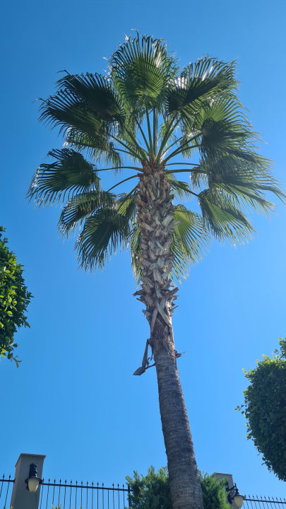 Pool Aydinbey Kings Palace & Spa