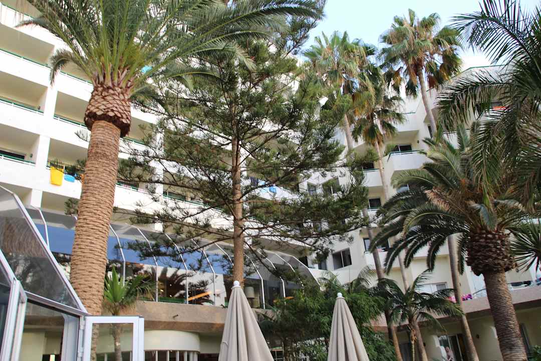 Hôtel H10 Las Palmeras - La Vue 2015 H10 Las Palmeras