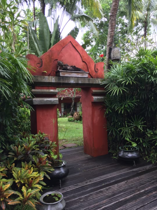 Gartenanlage Zazen Boutique Resort & Spa