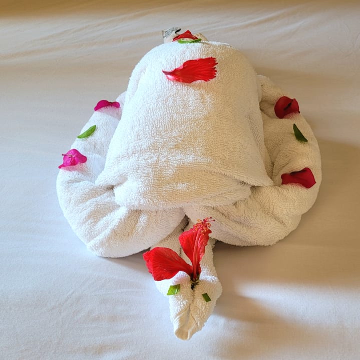 Zimmer Steigenberger Coraya Beach - Adults only