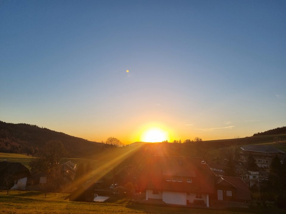 Ausblick derWaldfrieden naturparkhotel