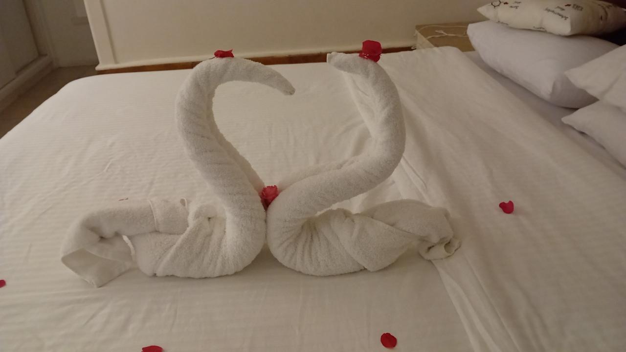 Zimmer Giftun Azur Resort