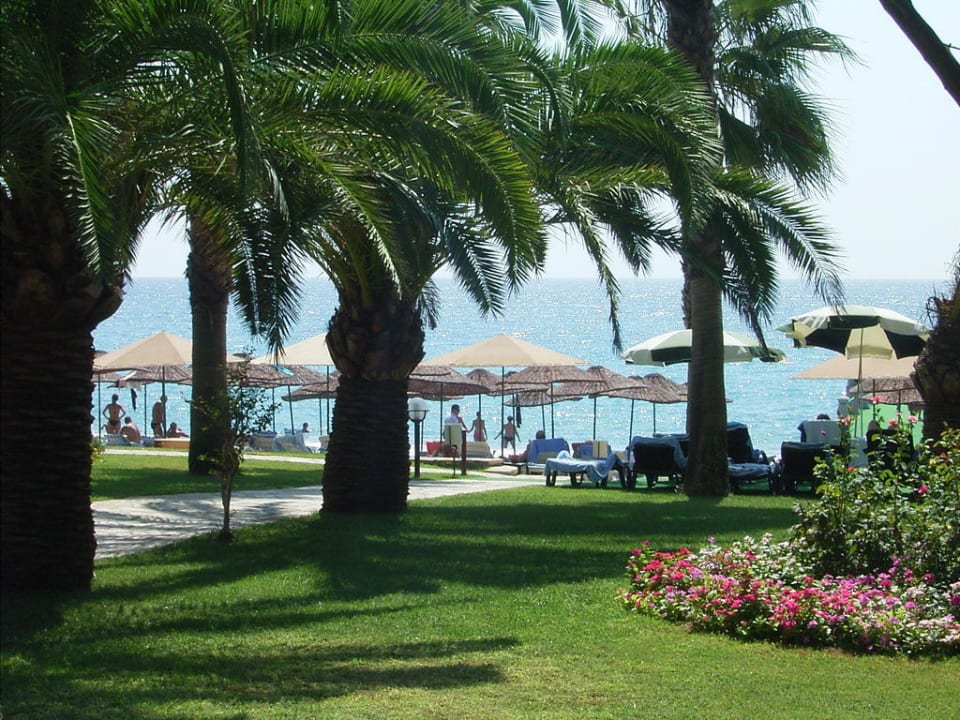 Blick zum Strand  Hotel Meryan