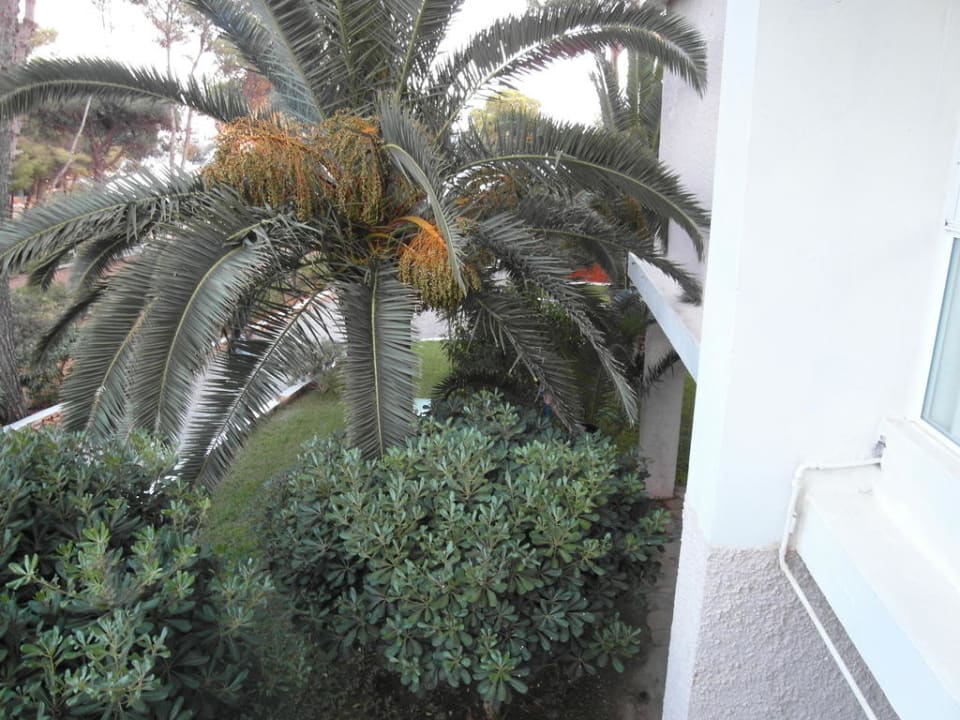 Meeresblick? Iberostar Selection Santa Eulalia Ibiza