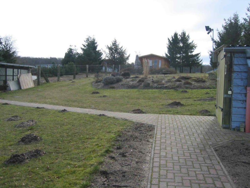 Außenanlage Liegewiese Pension Kleine Insel®