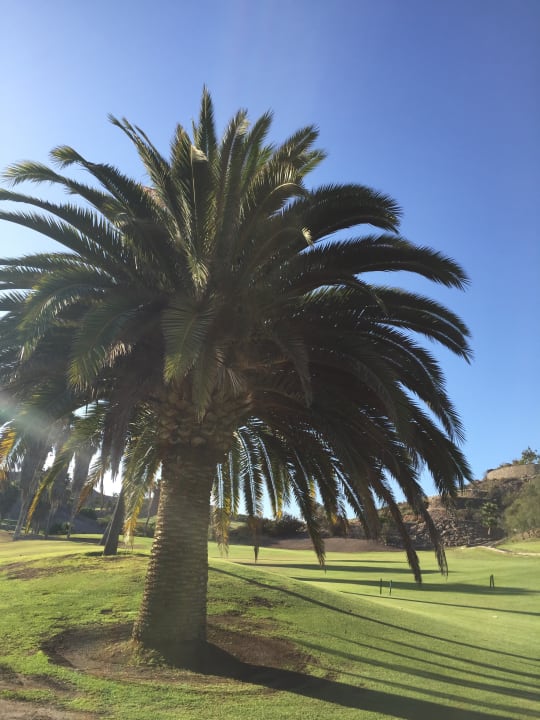 Gartenanlage Salobre Hotel Resort & Serenity