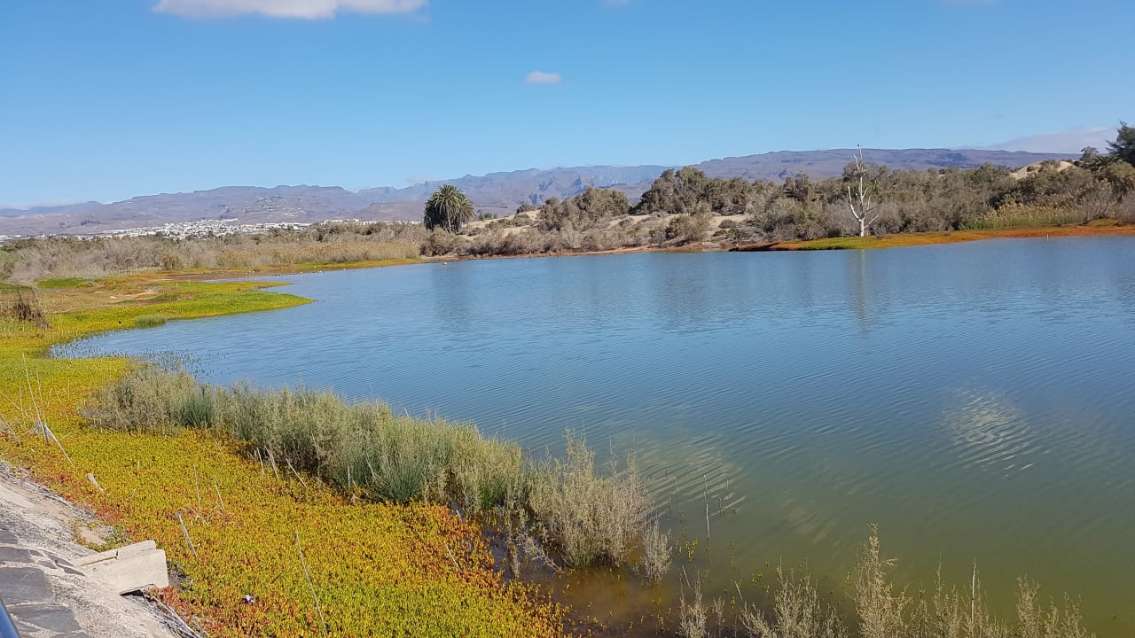Ausblick Bungalows Vistaflor