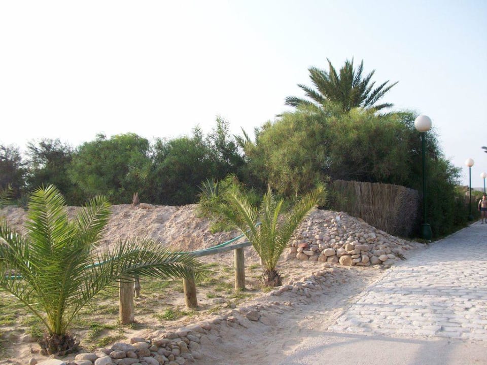 Weg zum Strand Iberostar Waves Mehari Djerba