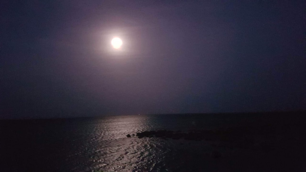 Ausblick Hotel Three Corners Ocean View prestige - Adults only