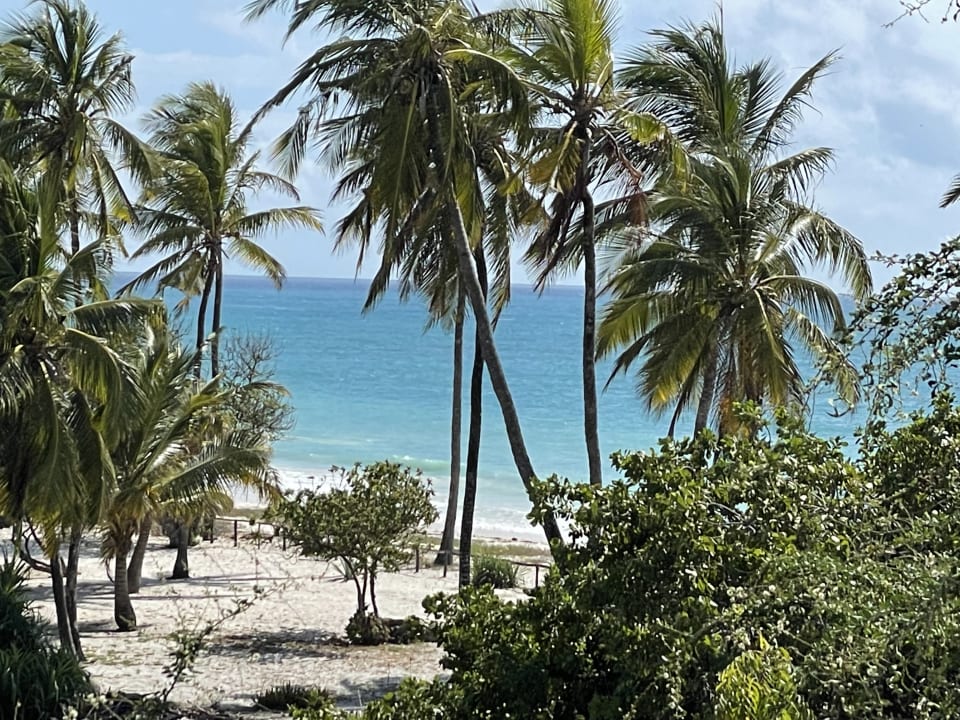 Gartenanlage Hotel Southern Palms Beach Resort