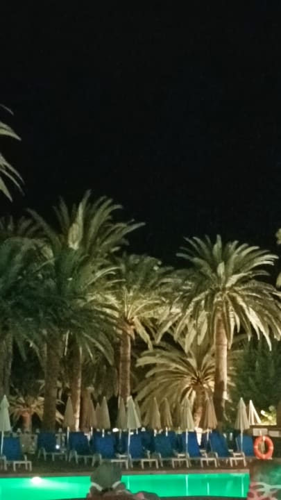 Pool Bull Costa Canaria & Spa - Adults only