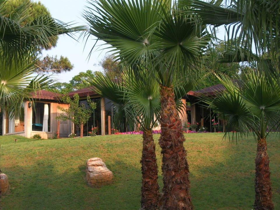Spa buildings Papillon Zeugma Relaxury