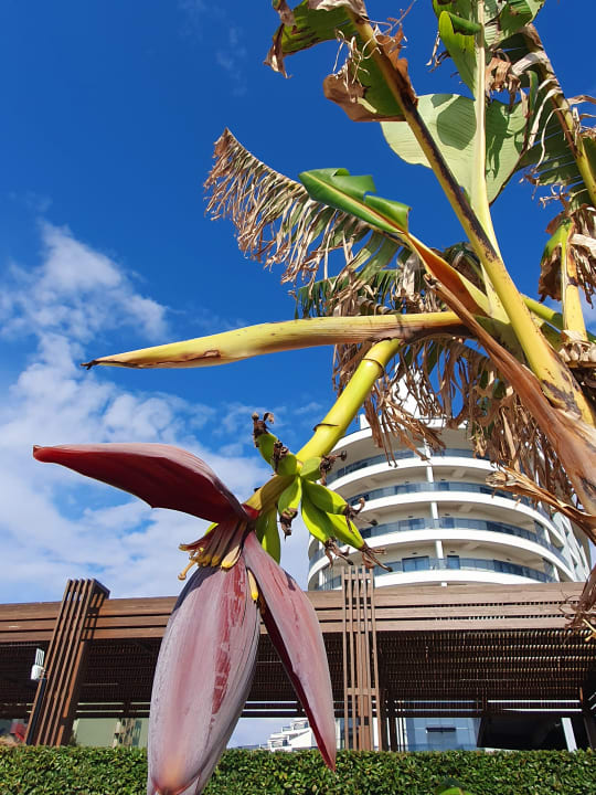 Sonstiges Seaden Quality Resort & Spa