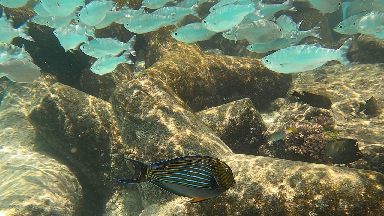 Sport & Freizeit Summer Island Maldives