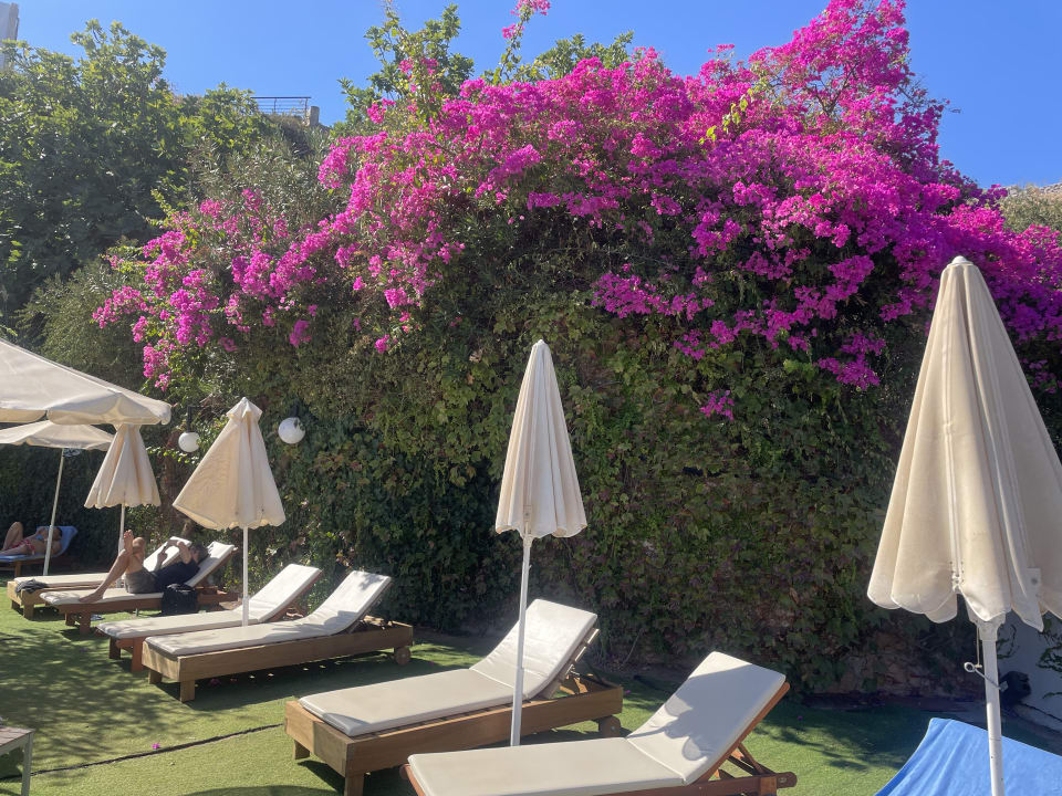 Sonstiges Lindos Mare, Seaside Hotel