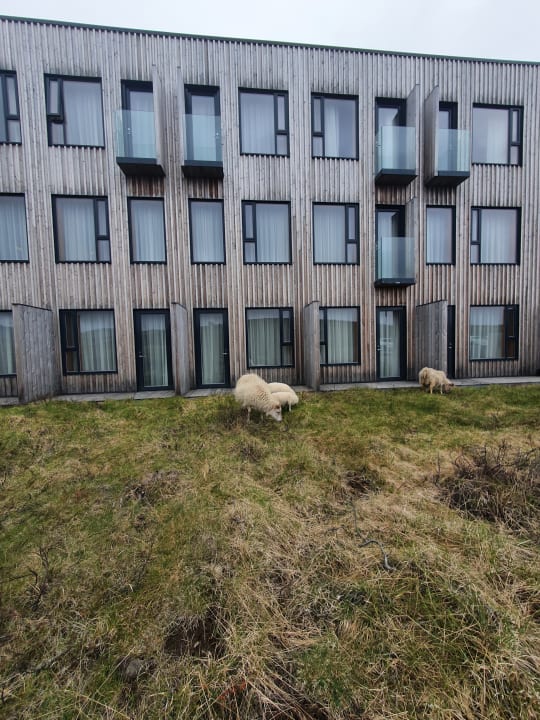 Außenansicht Fosshótel Mývatn