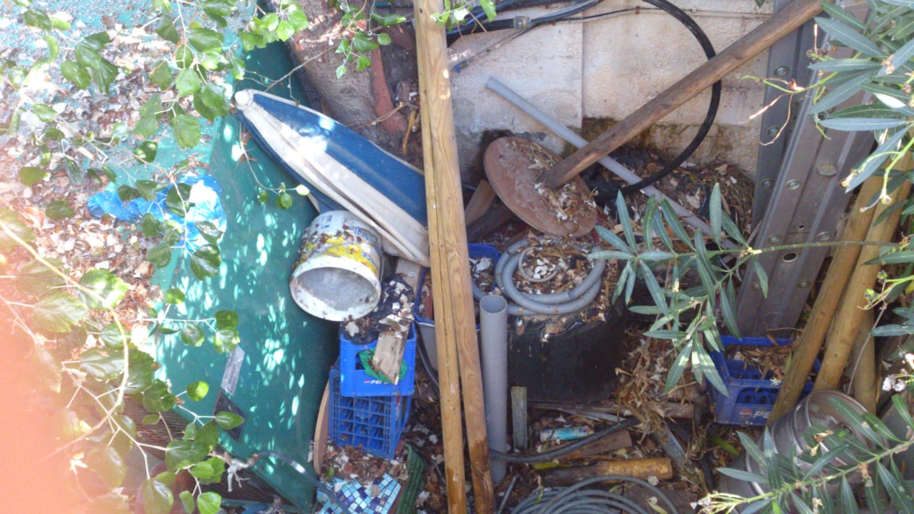 Entdeckung neben der Liegewiese am Pool Hotel Corissia Princess