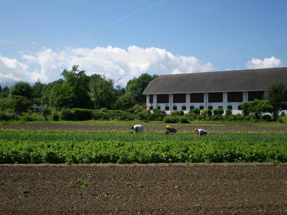 Gartenanlage Gästehaus Kloster Wernberg