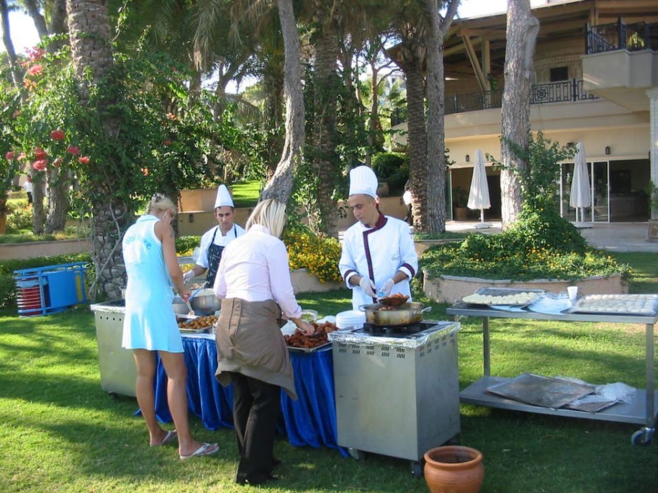 Kleinigkeit am Nachmittag Papillon Ayscha