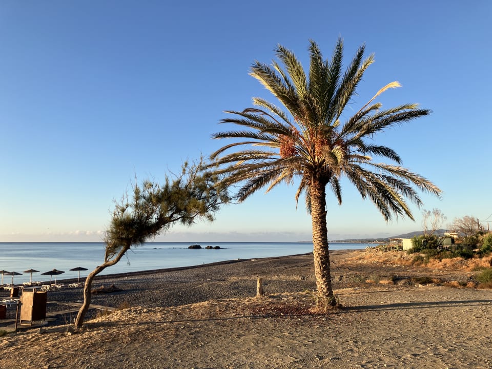 Strand Ekaterini Hotel