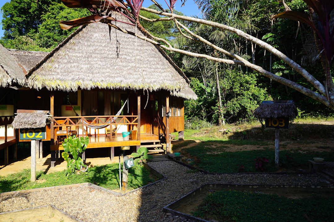 Bungalow Tambopata Ecolodge