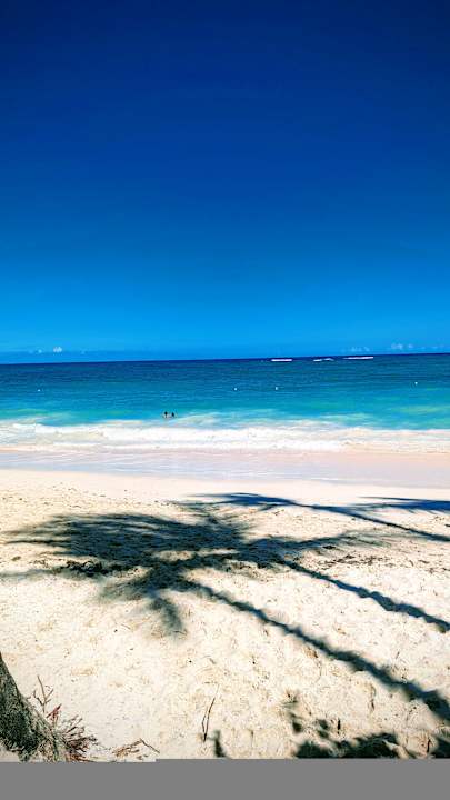 Ausblick Hotel Grand Palladium Palace Resort, Spa & Casino