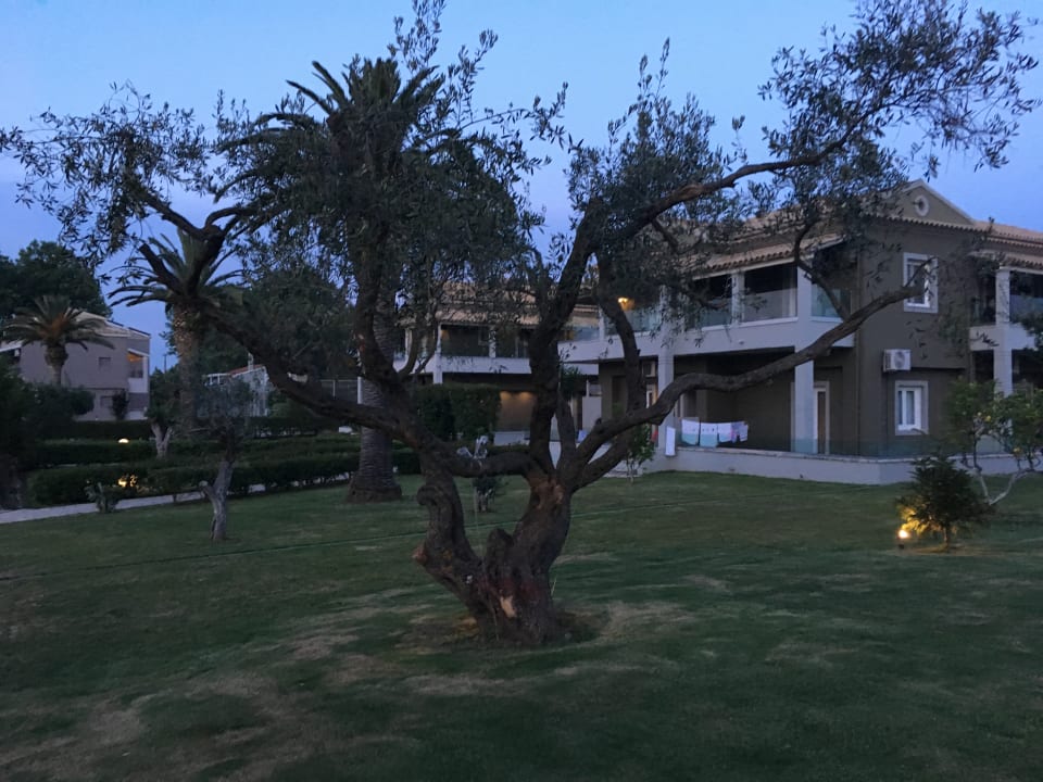 Außenansicht Acharavi Beach Hotel