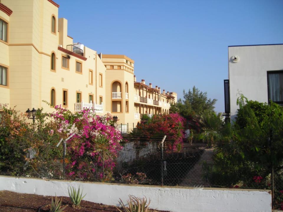 Ausblick Elba Lucía Sport & Suite Hotel