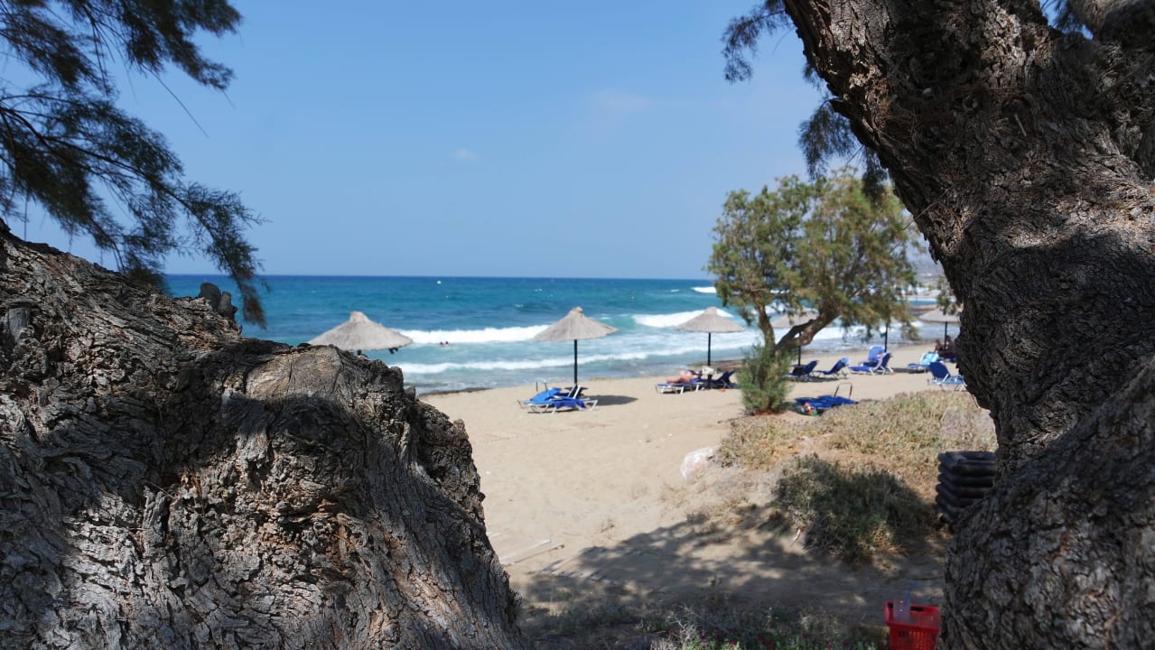Blick auf einen Strandabschnitt Phãea Cretan Malia