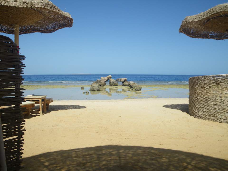 Citadel Azur Pickalbatros Citadel Resort