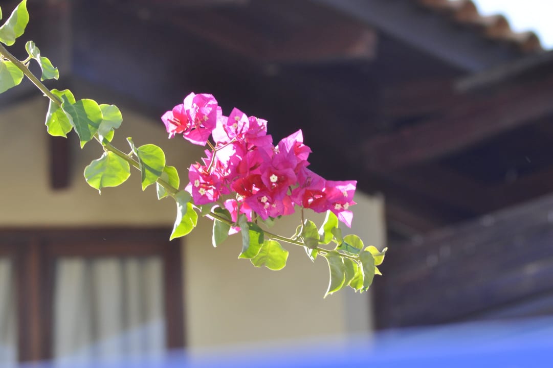 Garden Hotel Golden Odyssey