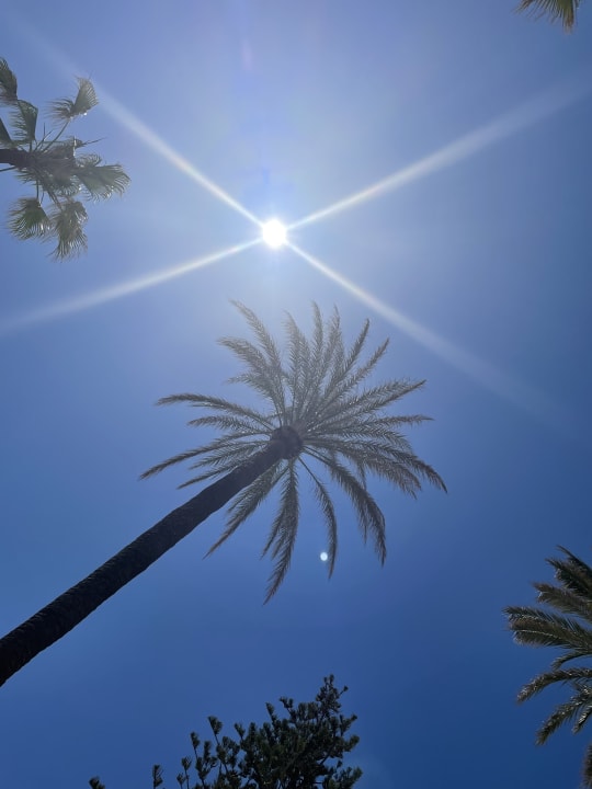 Pool CM Playa del Moro