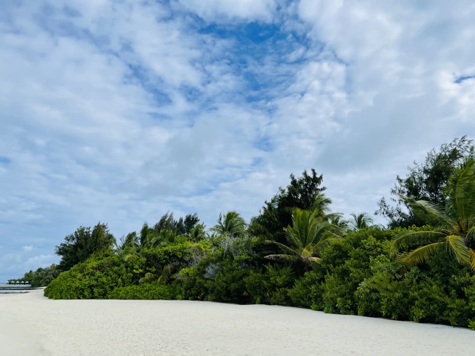 Strand Summer Island Maldives
