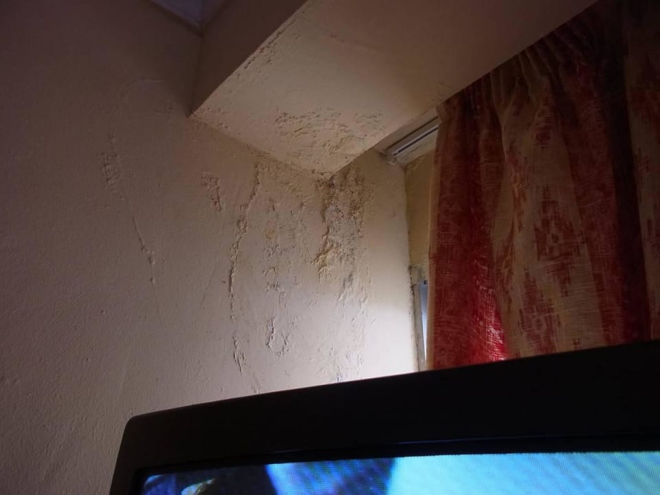 Schimmel Bei Juan Playa Blanca