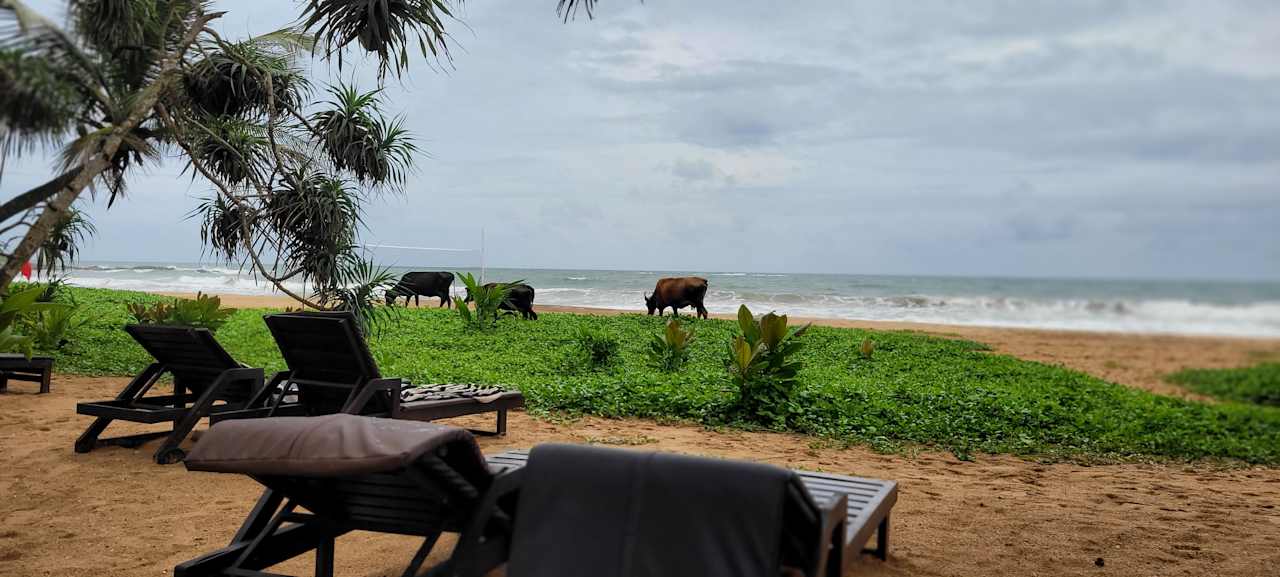 Ausblick Pandanus Beach Resort & Spa