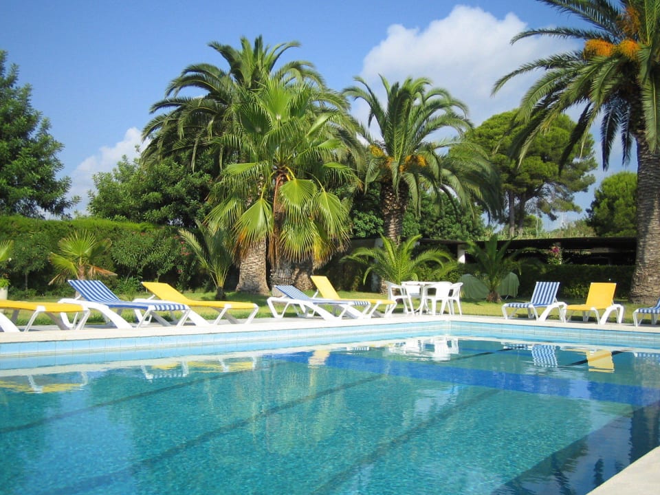 Pool & Palmen Bungalow Park Colibri