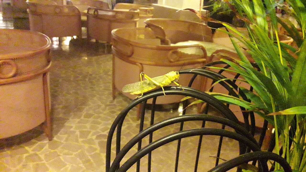 Sonstiges Grand Palladium Select White Sand Resort & Spa