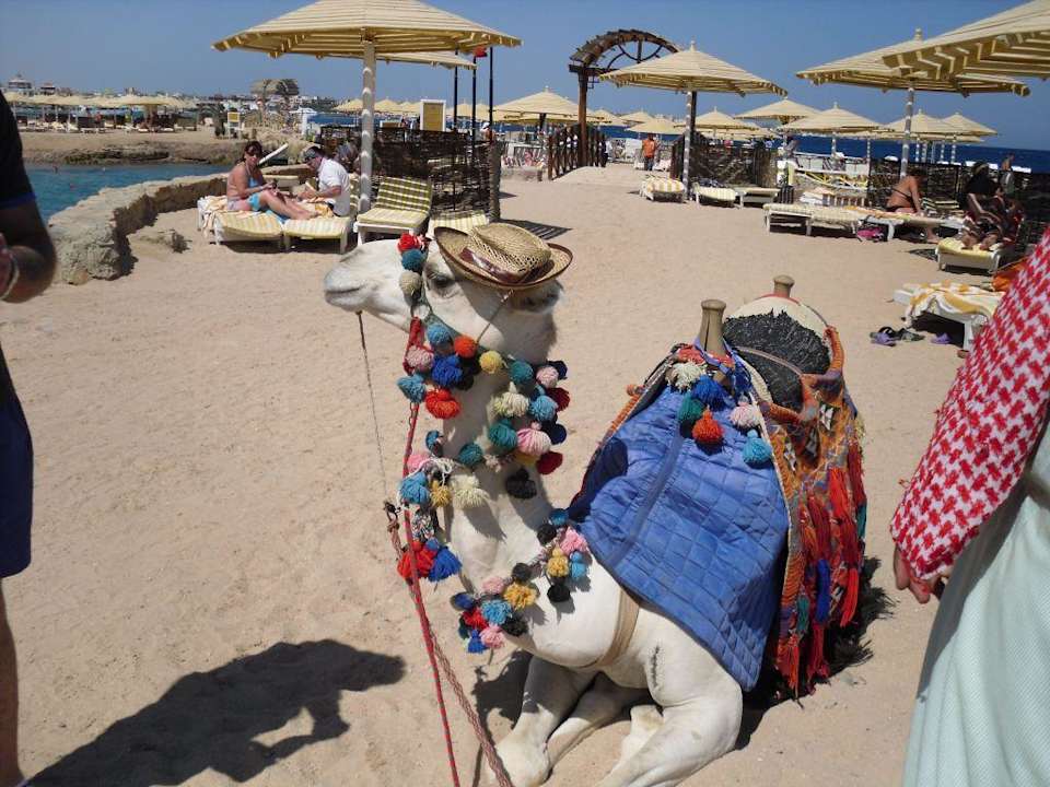 Max SUNRISE Holidays Resort (Adults Only)