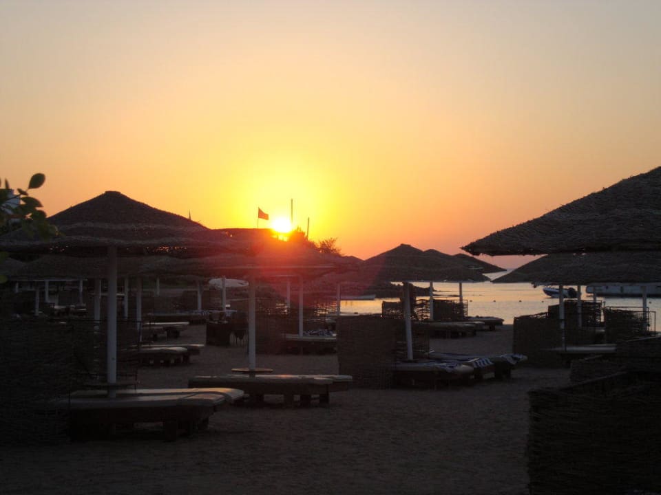 Sonnenaufgang Eagles Paradise Abu Soma