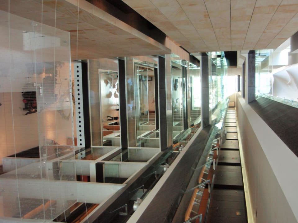 Hotel Flur Ibiza Gran Hotel