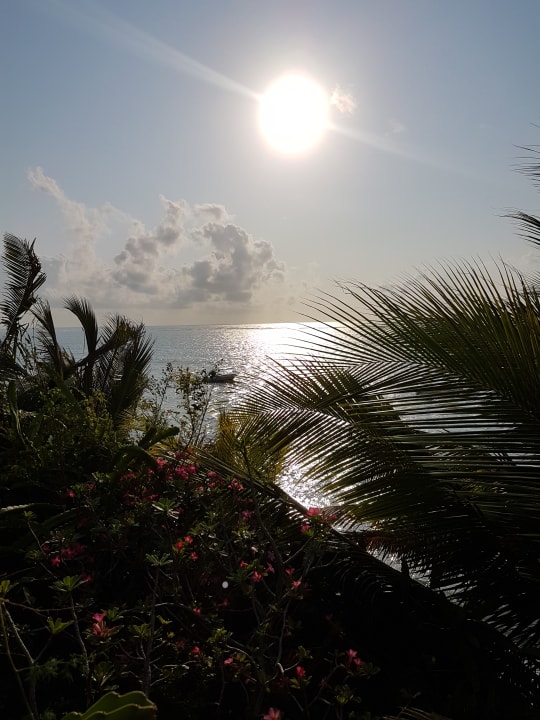 Zimmer Bahari Beach Hotel