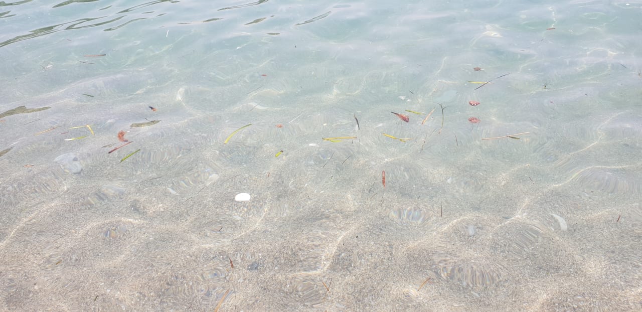 Strand Hotel Pine Bay Holiday Resort