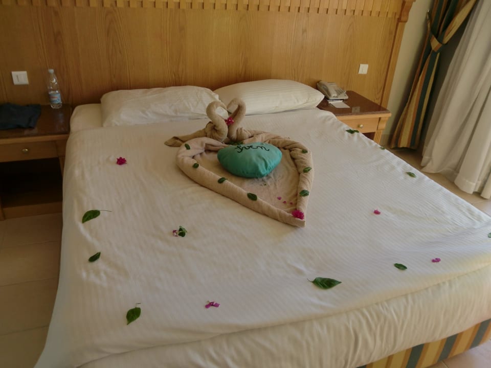 Der Ideenreichtum des Servicepersonals Pickalbatros Dana Beach Resort - Hurghada