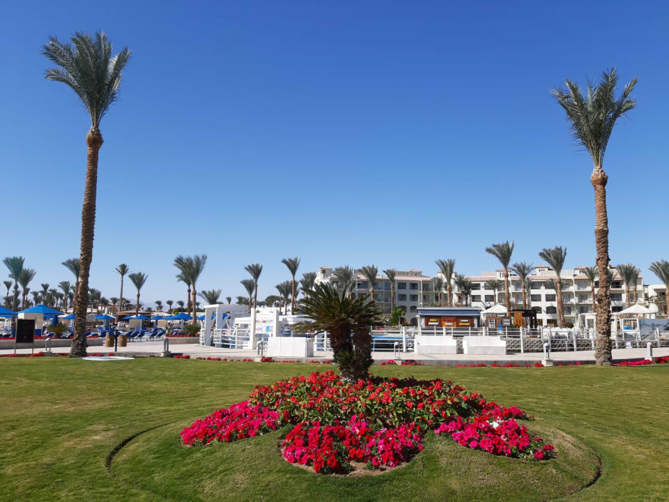 Gartenanlage Pickalbatros Dana Beach Resort - Hurghada