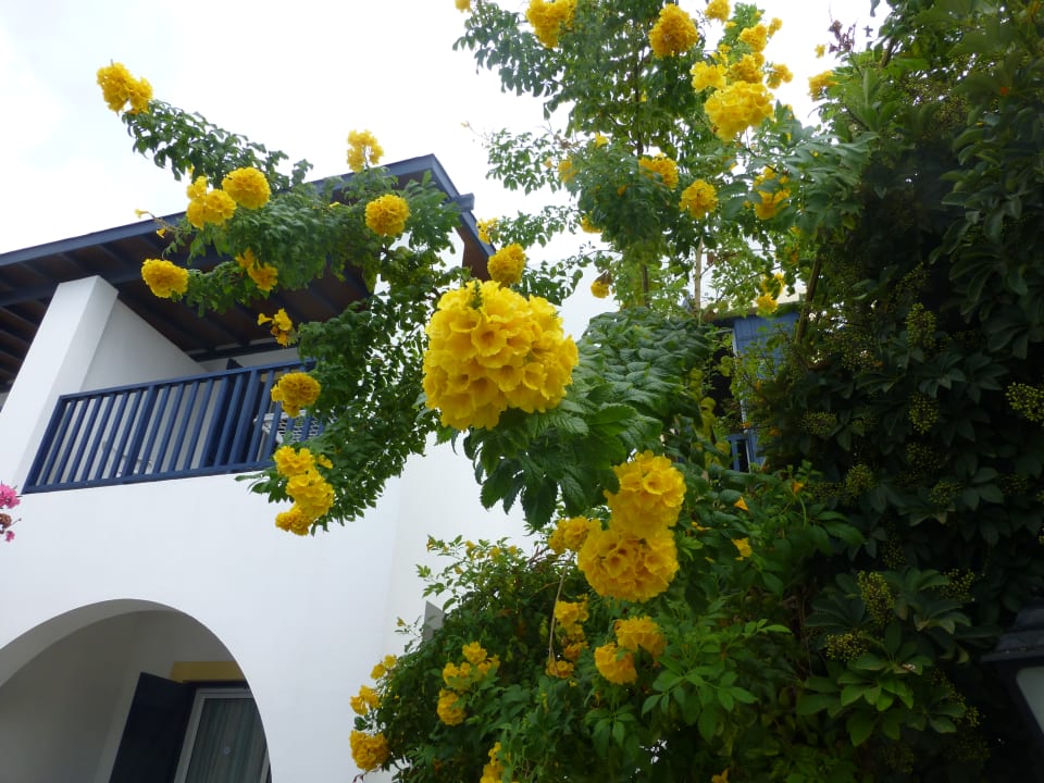 Außenansicht Kefalos Beach Holiday Village