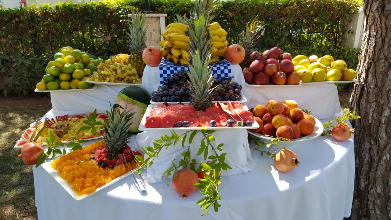 Gastro Paloma Oceana