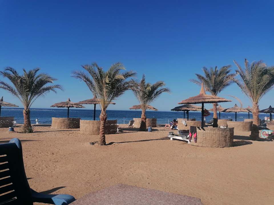 Strand Coral Sun Beach