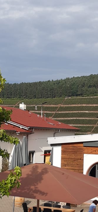 Ausblick Main-Vinotel Weingut Helmstetter