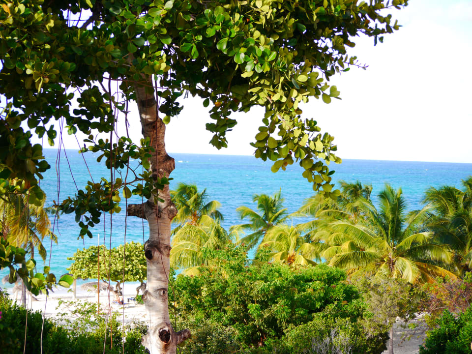 Ausblick von Zimmer 5302 Sol Rio De Luna y Mares